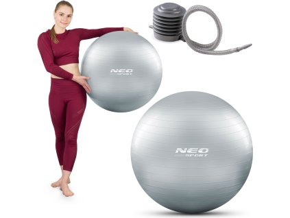 Fit lopta 65 cm NS-951 srebrna + pumpa