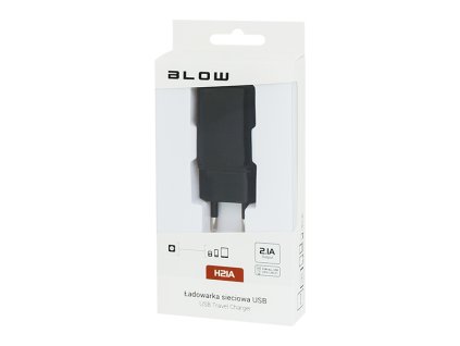 USB mrežni punjač 2,1 A H21A crna