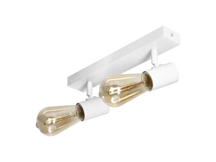 Bijela stropna i zidna svjetiljka E27 2x60W