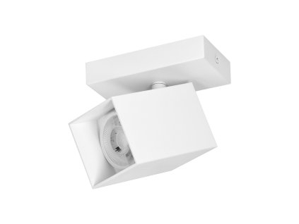 Bijela zidna i stropna svjetiljka GU10 IP20