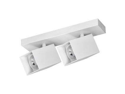 Dvostruko stropno i zidno svjetlo, bijelo, 2xGU10