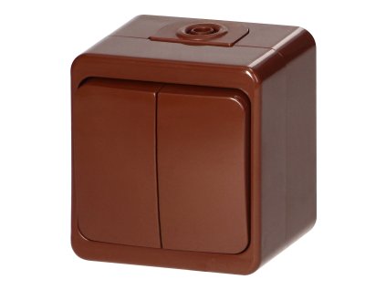 Zidni prekidač s dvostrukim gumbom 10A, 250V, IP44, SMART, smeđi