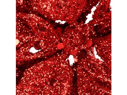 CA1257 BOŽIĆNI UKRAS 12 CM