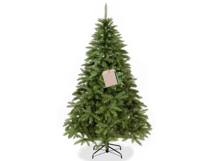 CT0171 SJEVERNA SMREKA 220 CM