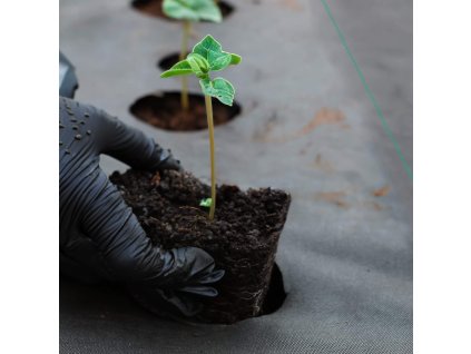 111350 ag0041 agrotkanina antychwastowa 90 gsm 32 x 10 m M0