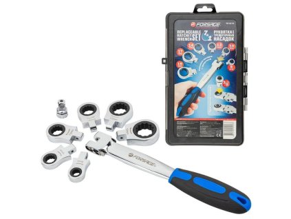 Set izmjenjivih igličastih ključeva