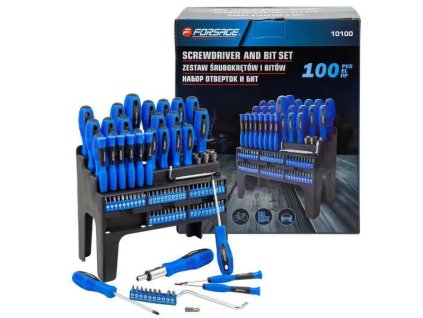 Set odvijača i bitova u plastičnom kućištu