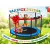 TRAMPOLINA 8FT 252 CM S LJESTVICAMA I ZAŠTITNOM MREŽOM *9863