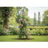 VRTNA PERGOLA PIRAMIDA 31 x 31 x 200 CM (+ KOTVE) *0293