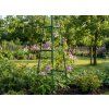 VRTNA PERGOLA PIRAMIDA 31 x 31 x 200 CM (+ KOTVE) *0293