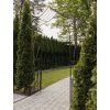VRTNA PERGOLA 173 x 51 x 260 CM ANTIK BRONCA *1449