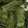 Vianočný stromček 220cm smrek alpský CT0099