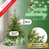 183437 ct0174 swierk naturalny pe 90 cm M0