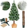 146576 ct0179 sosna diamentowa na pniu 180 cm M0