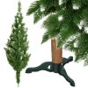 146571 ct0179 sosna diamentowa na pniu 180 cm M0