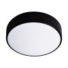 Stropna LED svjetiljka 24W, 4000K, crna, IP20