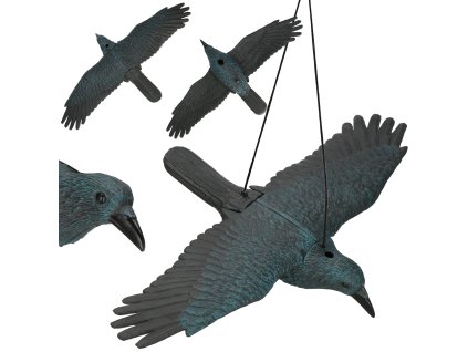 3278 ga0130 kruk ogrodowy M0