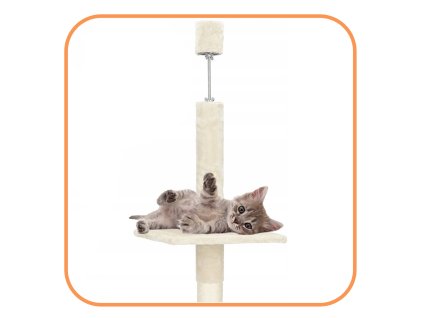 Kaparófa macskáknak PA1052