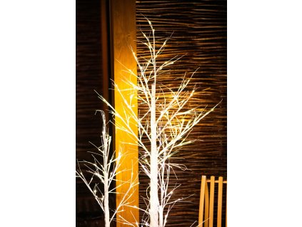 105578 cl0952 drzewko ozdobne led 180 cm M0