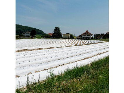 Agrotextile 1,6x50m AG0002