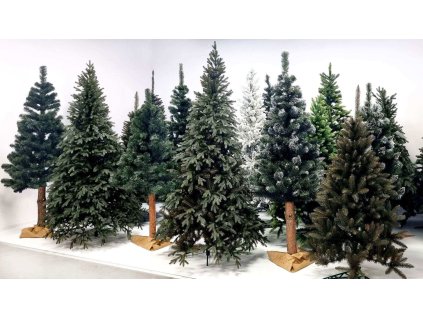 95243 ct0077 choinka sosna diamentowa 180 cm M0