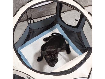 Nedvszívó betét kutyának 40x60 50db PA2014