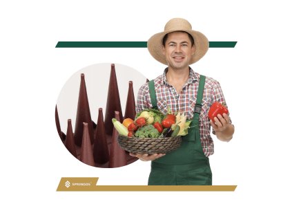 Madártüskék 12db GA0018 barna