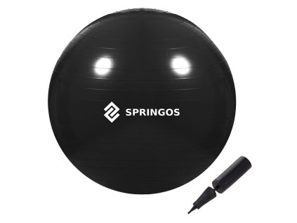 150623 fb0014 pilka gimnastyczna z pompka 65 cm M0