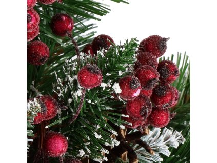 CA0744 MESTERSÉGES FAGYASZTOTT SÖTÉTVÖRÖS BOGYÓ 12 MM 10-11 CM 20 DB.