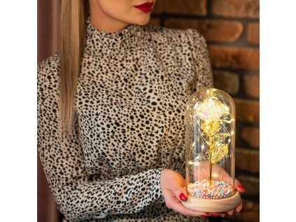 HA5159 ÖRÖK RÓZSA ÜVEGBEN