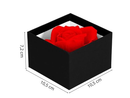 116211 ha7447 wieczna roza M0