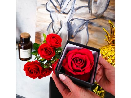 HA7447 ÖRÖK RÓZSA