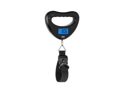 Törzsmérleg TSA0806