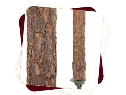 CT0263 TÖLCSÉRES FENYŐ FATÖRZSÖN 180 CM