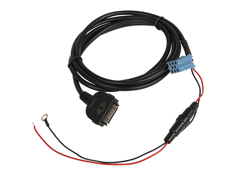 Aux adapter ipodhoz 0698-