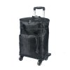 suitcase cabin bag hand luggage wheels