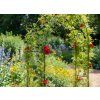 KERTI PERGOLA 140 x 38 x 240 CM (+ RÖGZÍTŐK) *3214