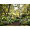 KERTI PERGOLA 140 x 38 x 240 CM (+ RÖGZÍTŐK) *3214