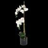 M MŰNÖVÉNY - FEHÉR ORCHIDEA 77 CM