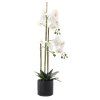 M MŰNÖVÉNY - FEHÉR ORCHIDEA 77 CM