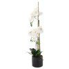 M MŰNÖVÉNY - FEHÉR ORCHIDEA 77 CM