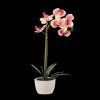 MŰNÖVÉNY - ORCHIDEA MIX 3 SZÍN 43 CM 1 DB