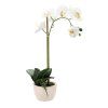 MŰNÖVÉNY - ORCHIDEA MIX 3 SZÍN 43 CM 1 DB