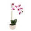 MŰNÖVÉNY - ORCHIDEA MIX 3 SZÍN 43 CM 1 DB