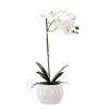MŰNÖVÉNY - ORCHIDEA MIX 3 SZÍN 42 CM 1 DBSZ