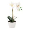 MŰVIRÁG - ORCHIDEA MIX 3 SZÍN 30 CM 1 DB