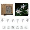 LED LÁNC EZÜST CSILLAGOKKAL 10 L MELEG FEHÉR *1044