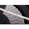 sznur diodowy 25m rebel 60x5050smd m zimny bialy 12v 116b1e9e8eba4624a735bb7ecf9538cd 7f992e2b