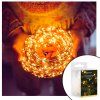209525 cl0018 lampki led na baterie 100 led M0