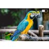 telewizor kruger matz 50 uhd dvb t2 s2 h 265 hevc d86674674a554e8cab80f2dc9b265286 716284b6